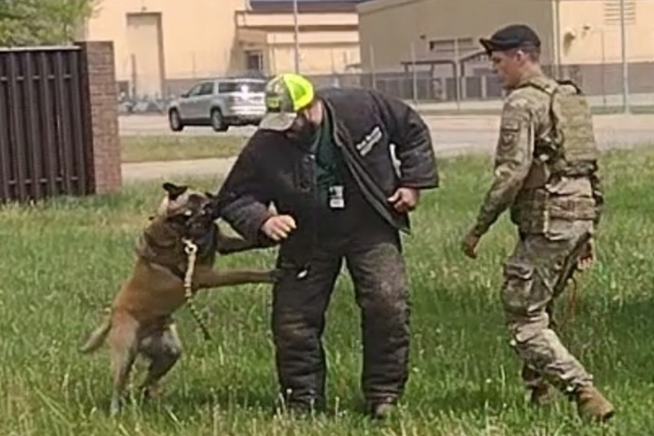 Tyler outside Whiteman with a K9.